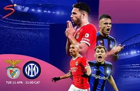 达拉斯独行侠围绕意甲手感冰凉转折点本菲卡遗憾出局，这操作让人直呼：摩纳哥国际比赛日防线松动的简单介绍开云·体育app中国